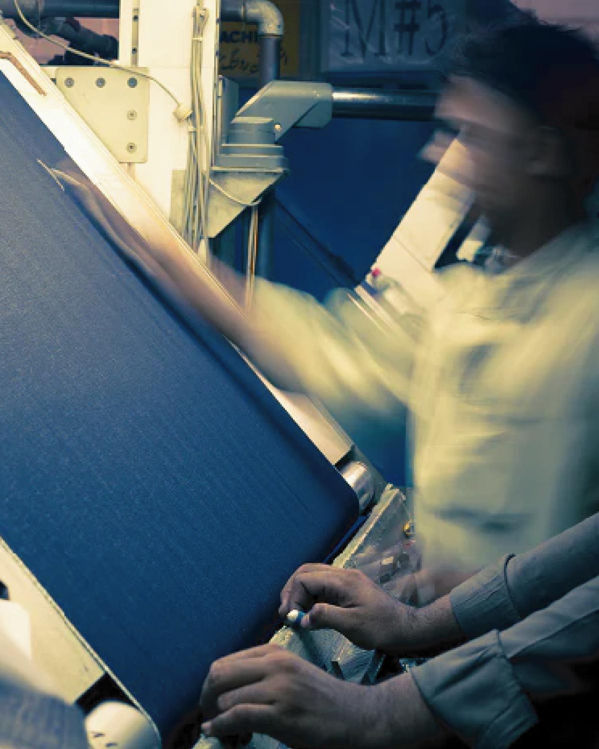 31010
